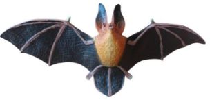 Obrázek z Figurka Netopýr dlouhouchý 19cm 